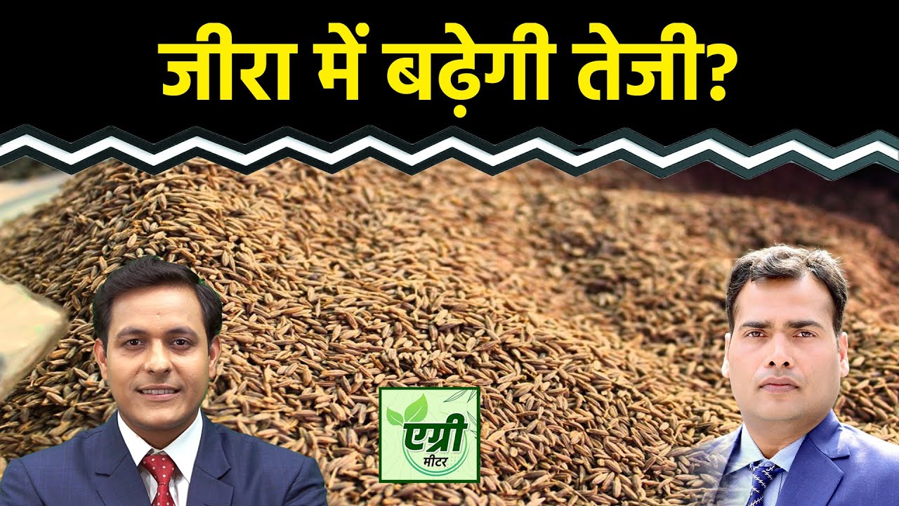 Commodity Market : जीरा की घरेलू और एक्सपोर्ट डिमांड कैसी रहेगी? Trading | NCDEX | Agri Commodity