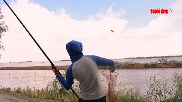 Độc chiêu câu ếch không cần lưỡi câu