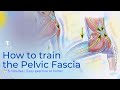 Easy Pelvic Fascia Exercise to Release Tension and Tightness 🤸🏻‍♂️