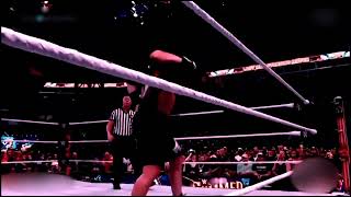 Roman Reigns vs Brock Lesnar SummerSlam 2022 Highlights