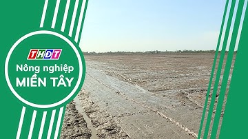 Canh tác lúa ngập khô xen kẽ và ứng dụng giảm khí thải | Nông nghiệp Miền Tây