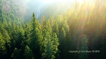 [ASMR 𝐏𝐥𝐚𝐲𝐥𝐢𝐬𝐭] 시편으로 드리는 피아노 찬양 | 숲속 🌳 새소리 🕊 와 듣는 | CCM 피아노 연주 모음