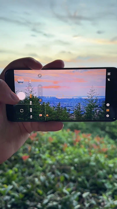 So what is Honor's regret? Honor Huawei