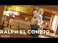 RALPH EL CONEJO I Análisis (CONCORDIA 🌳)