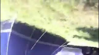 I've been stung by a wasp with autotune tiktok remix