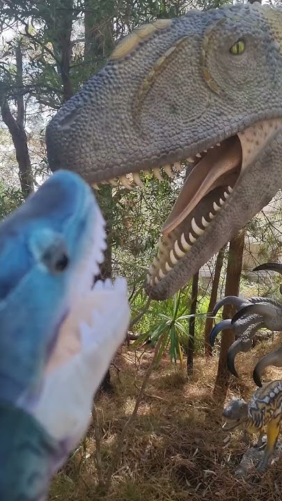 Australovenator Dinosaur World Somerville Part 11 YouTube australovenator-dinosaur-world-somerville-part-11-youtube