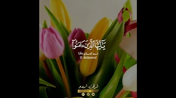 🌷اللهم صل وسلم على نبينا محمد🌷 سورة الأحزاب:٥٦|هزاع البلوشي|Surah Al Ahzaab:56|Hizza Al Balochi