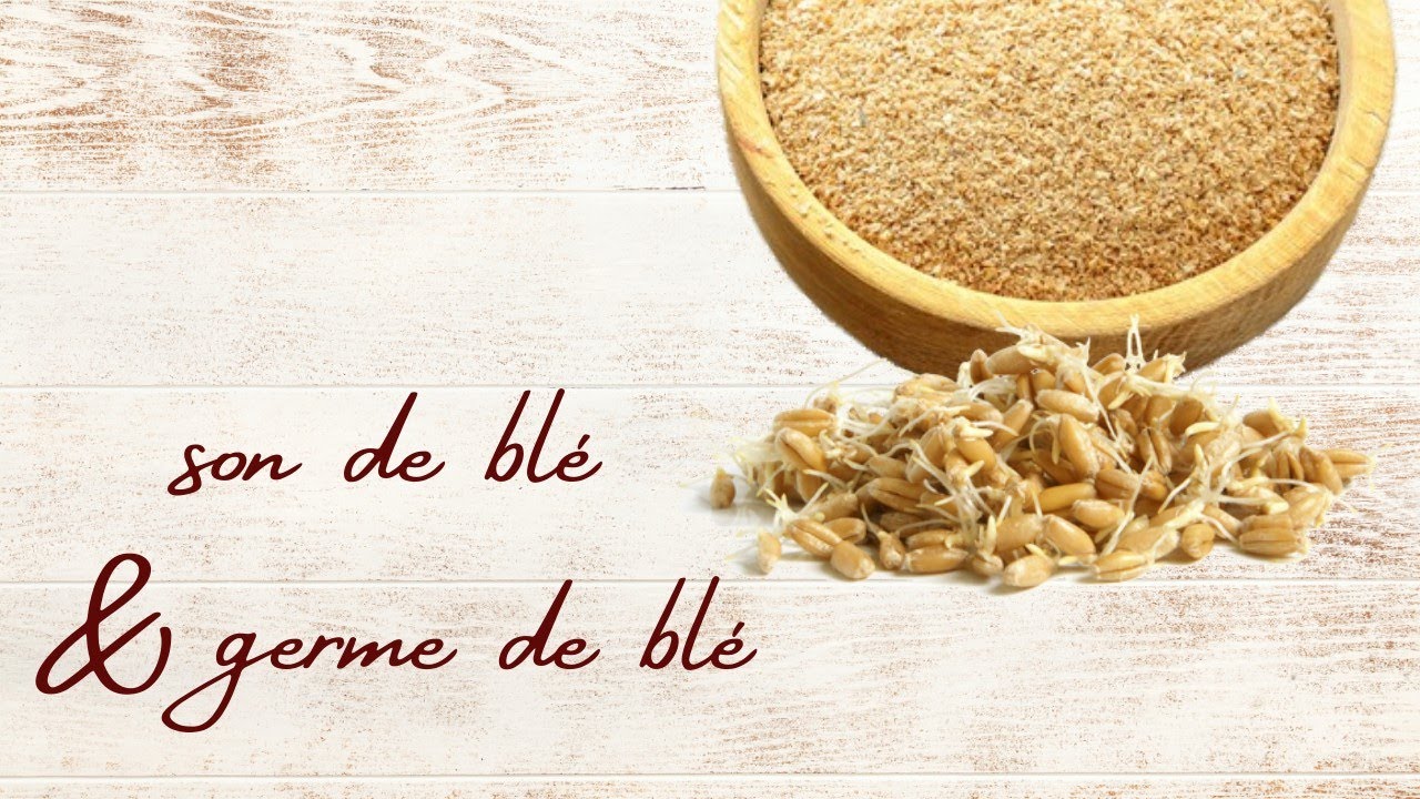 Quelle est la différence entre le son de blé et germe de blé? YouTube Quelle est la différence entre le son de blé et germe de blé? YouTube