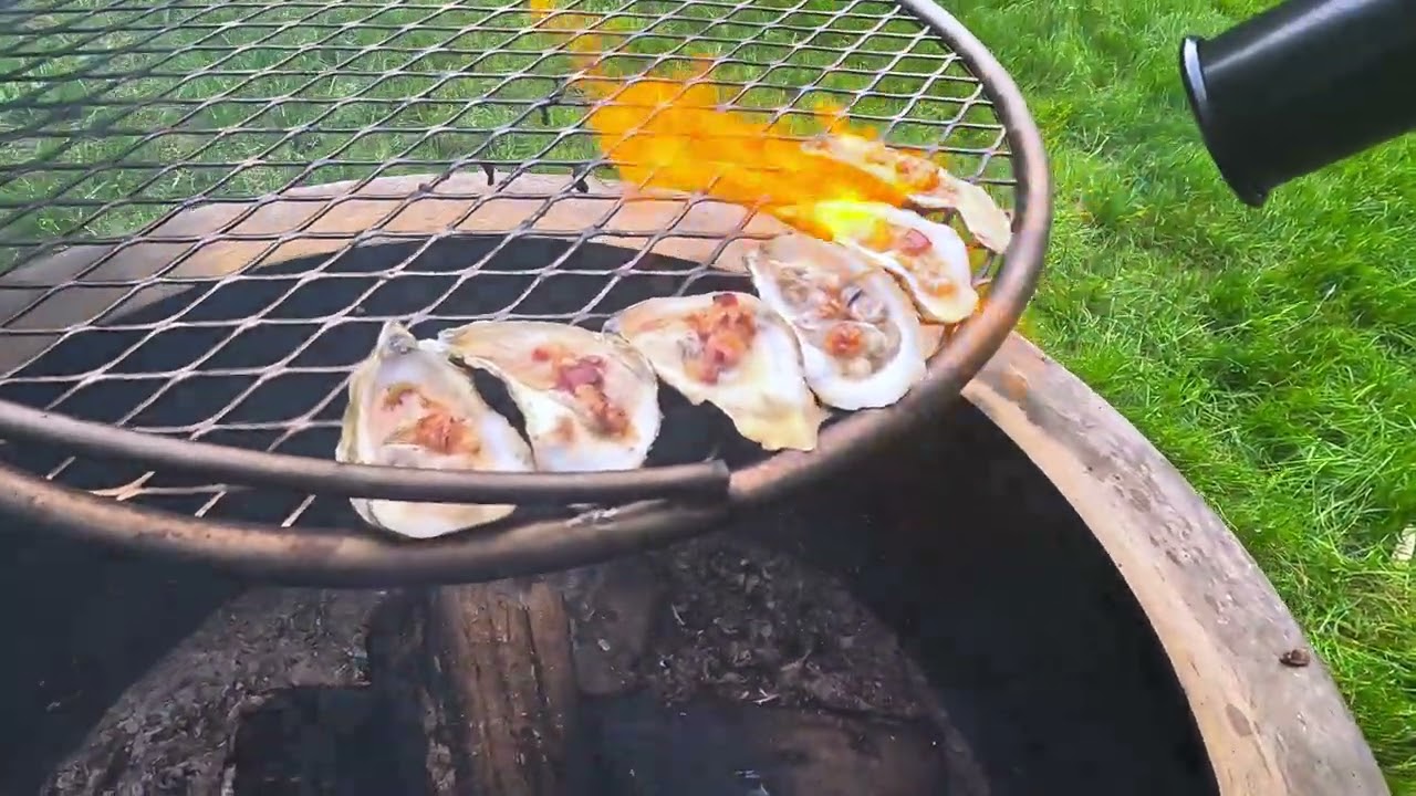 SEARED OYSTERS ON BREEO OUTPOST GRILL