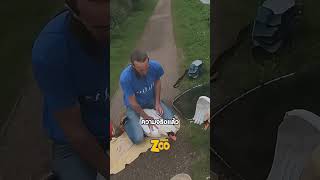 จับหงส์มา เพื่อช่วยชีวิต