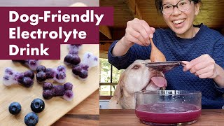 Homemade Dog-Friendly Electrolyte Drink Recipe | Keep Your Pup Hydrated & Healthy 🐶