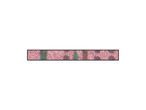 phase behavior using molecular dynamics simulations