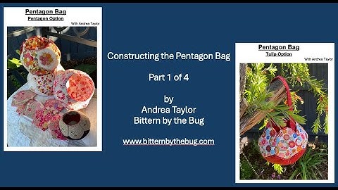 Bittern by the Bug   Pentagon Bag Part 1