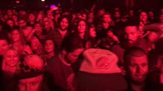 Pigeons Playing Ping Pong: Pigs (3 Different Ones) 3/29/19 The Sherman Theater Stroudsburgh PA