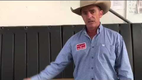 Coolest Mounting Block Ever