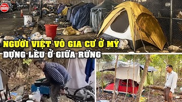 Cận Cảnh Cuộc Sống Người Việt VÔ GIA CƯ Ở Mỹ Dựng Lều Giữa Rừng Thạc Sĩ Cũng Vô Gia Cư |Top10HuyenBi