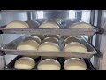 mesin pengembang roti