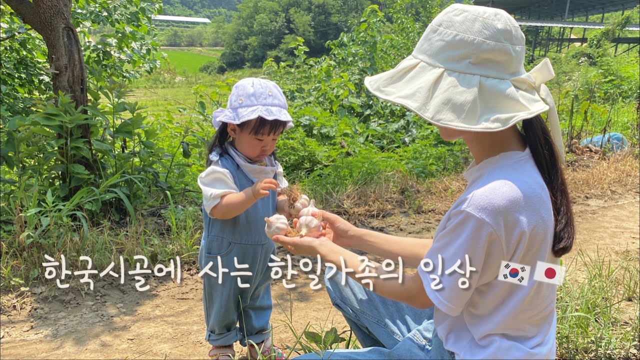 오래 기다리셨습니다 ! 마늘을 직거래로 판매하고자 합니다🧄♡韓国の田舎で暮らす日韓夫婦