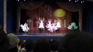 20150618_迪士尼表演3