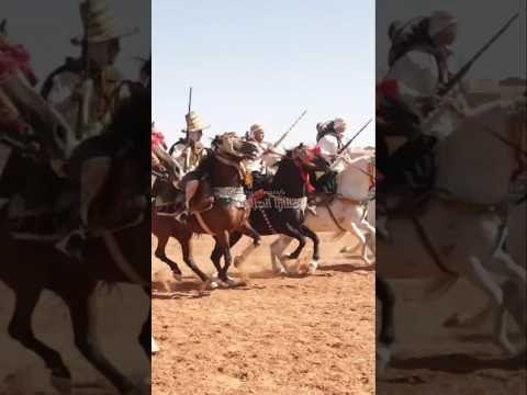 شاهد روعة الفرسان في عيد الاستقلال من ولاية البيض 2025 فنتازيا الجزائر