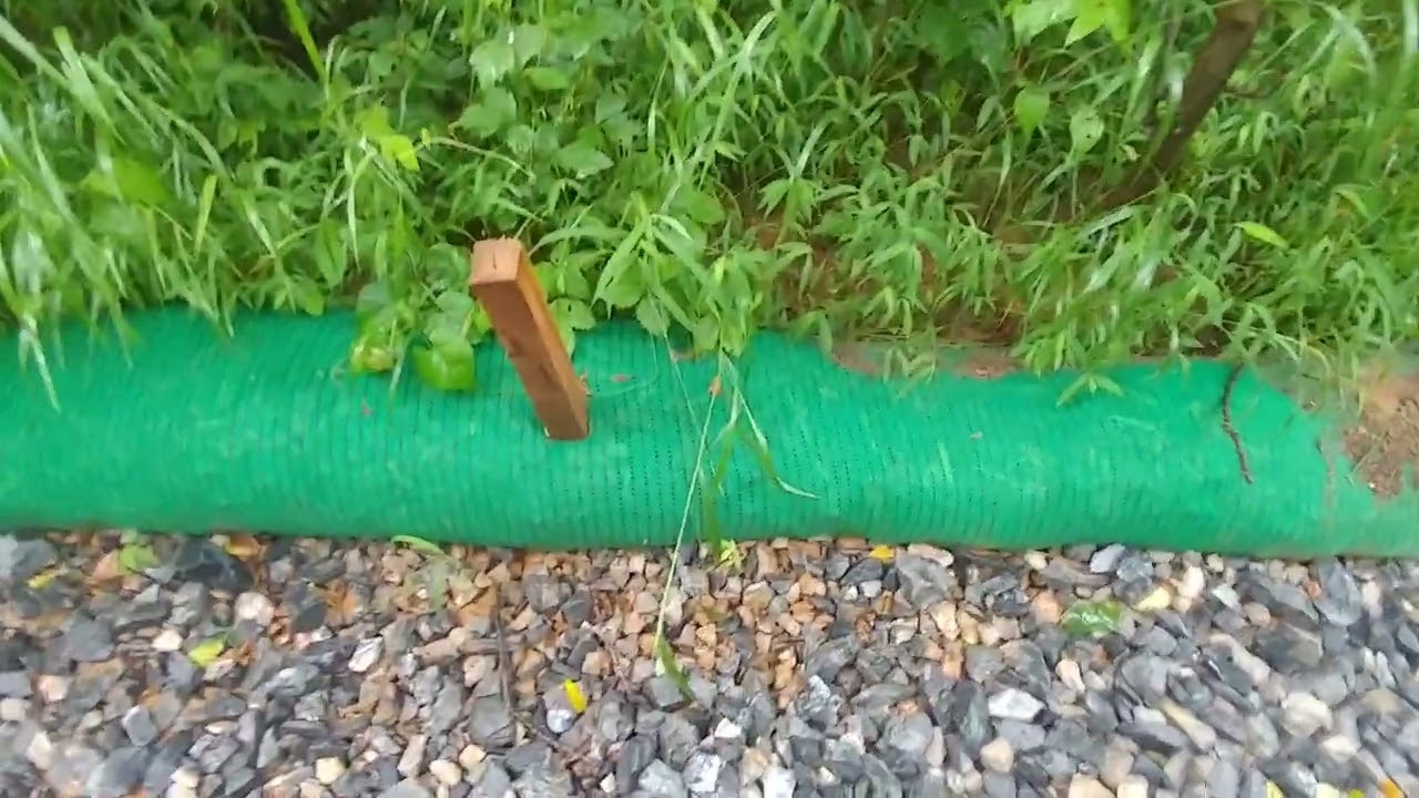 MVP diverted runoff toward stream with endangered Roanoke Logperch