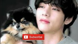 Happy Birthday Yeontan, Happy Birthday Tannie, Bts Singer Vs Adorable Pet Dog Danced To Mic Drop