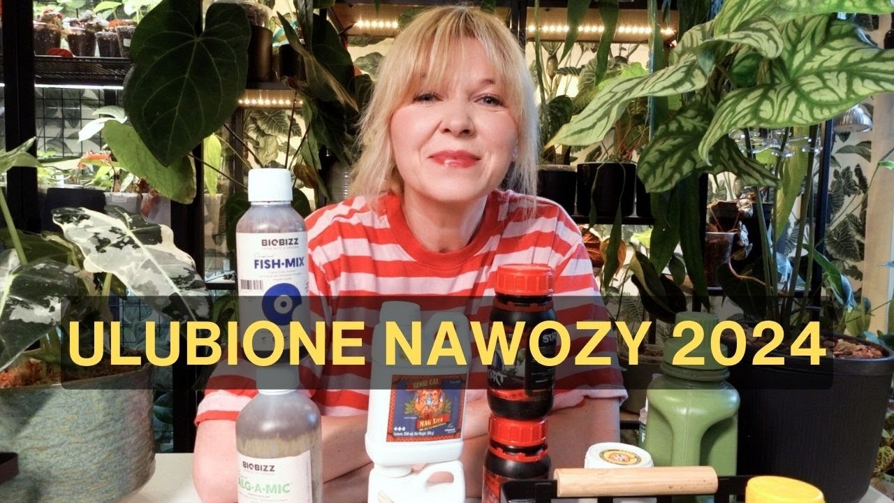 Ulubione nawozy i dodatki - czego teraz używam #roślinydomowe #nawozy #nawożenie #anthurium