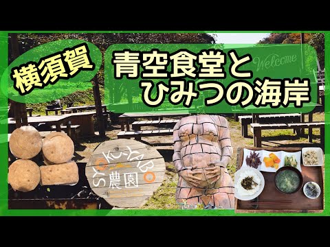 [Yokosuka] SYOKU-YABO Farm and Tenjinjima Coastal Nature Education Park