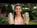 How to Sprout EASILY for 25 Cents a Day! 🌱Jar Growing Method for Beginners...