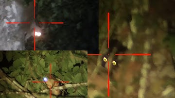 Zov tua mab tua nraj noj txiv nyab 2021 ntu2