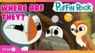 🤔 Oona’s Friends Are Lost! | Can We FIND Them All? 🌈 | Part 2 | Puffin Rock |  @RTÉKIDSjr ​