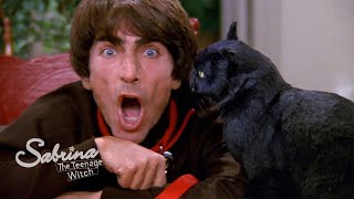 Salem Gets a Pet! by Sabrina The Teenage Witch 15,695 views 1 month ago 3 minutes, 55 seconds