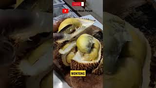 DURIAN MONTONG NYA SUPER TEBAL!! | DURIAN MONTONG #durianviral #duriantraveler #viralshorts #montong