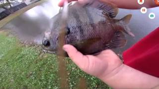 Fishing On Easterft Christian Mann