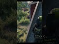 ALWAYS THAT ONE BUSH CAMPER | VIGOR #vigorgame #vigorgameplay #gaming