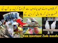 Top 4 profitable birds for less investment birds business in pakistan  profitable birds business