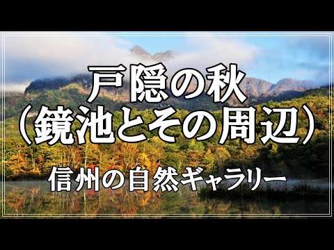 鏡池錦秋 標高1,200mに位置し、紅葉に染まる戸隠連峰を鏡のように映し出す