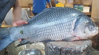 15 Kg Giant Catla Carp Fish Cutting Skills Live In Bd Fish Market Fish Cutting Bangladesh