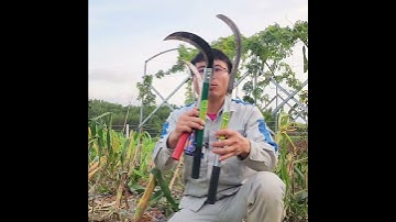 combo 4 loại dao phát cỏ