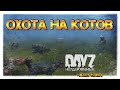 ИДЁТ ОХОТА НА КОТОВ - DayZ НЕУДЕРЖИМЫЕ ✌ СТРИМ 1.09