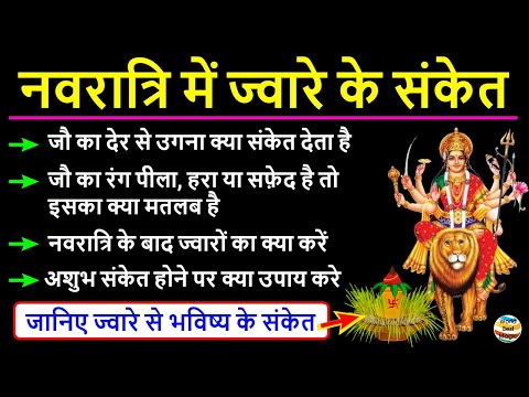 नवरात्रि में ज्वारे के शुभ अशुभ संकेत,जौ का देर से उगना,जौ का रंग, क्या उपाय करे navratri jware 2024