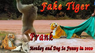 Fake Tiger Prank Monkey and Dog & Cat So Funny in 2020