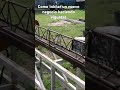 Como iniciar un nuevo negocio haciendo viguetas. Suscríbete