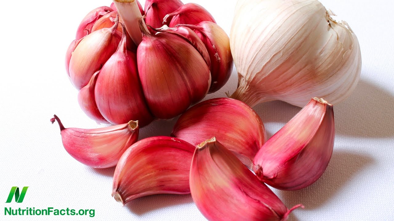 Therapeutic Effects of Garlic and Lead Poisoning