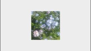maybe in another life [playlist]