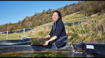 Ecology and Evolution Research at the University of Leeds | Faculty of Biological Sciences