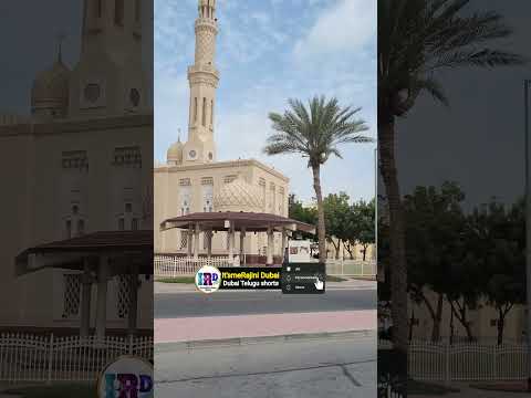 The Jumeirah Grand Mosque #shorts #dubai #youtubeshorts #viralshorts