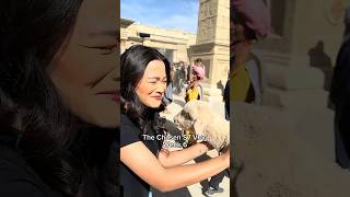 You know it's a good week when there are animal extras on set.