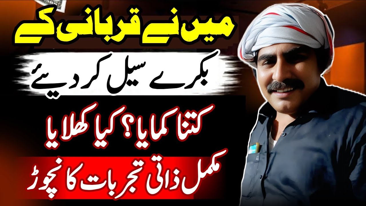 The best business of Qurbani animals