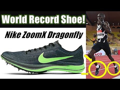 nike air zoomx dragonfly